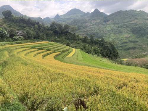 DAILY HA GIANG LOOP: GROUP MOTORCYCLE & CAR TOURS