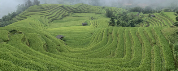 DAILY HA GIANG LOOP: GROUP MOTORCYCLE & CAR TOURS